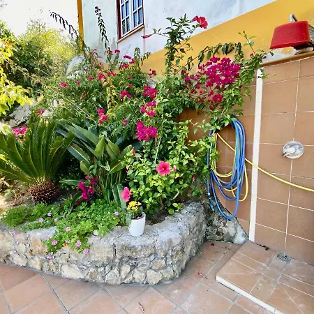 Feriehus Artisan's Óbidos