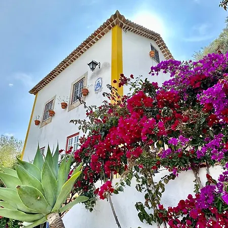 Holiday home Artisan's Obidos