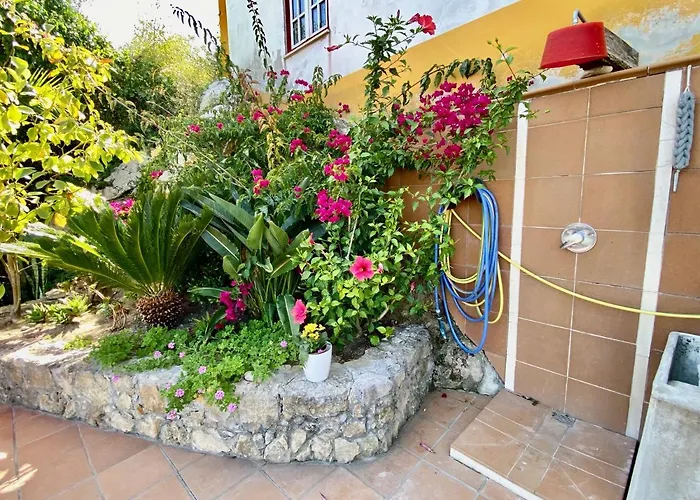 Holiday home Artisan's Obidos